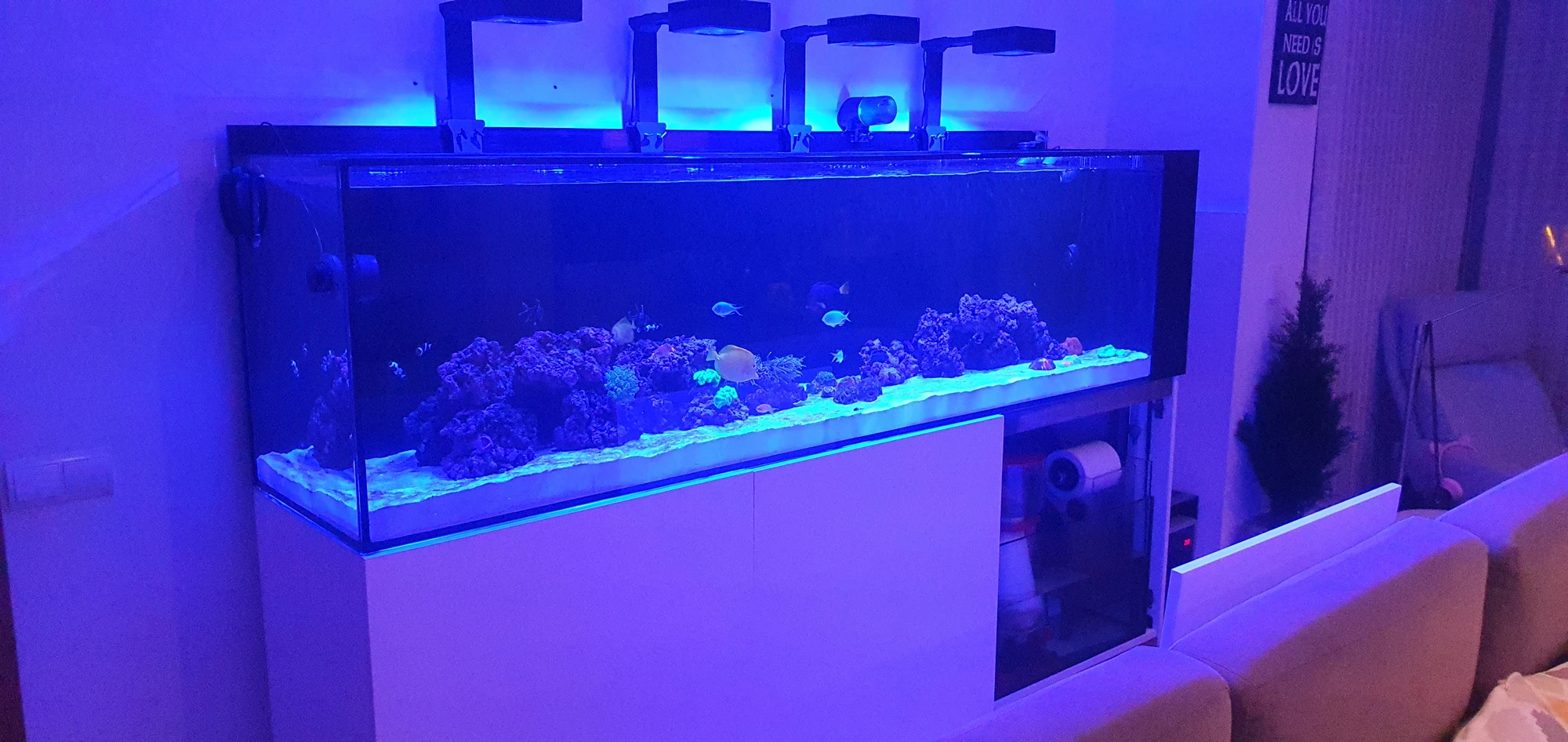 Acuario Arrecife Familiar