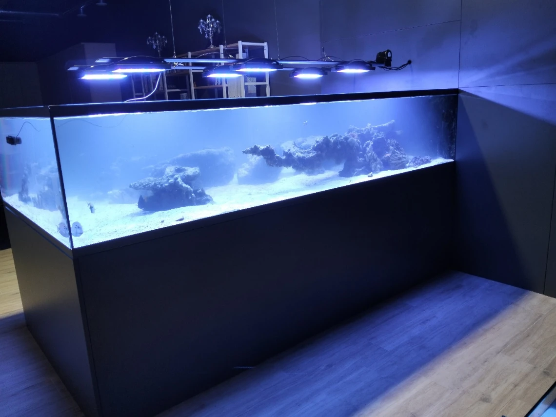 Acuario Arrecife Minimalista